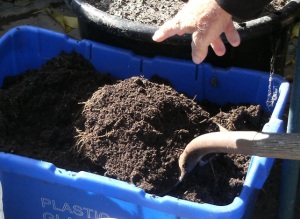 Beautiful finished compost